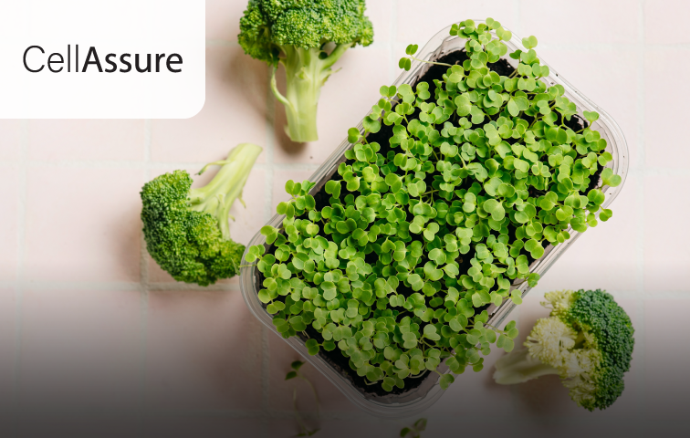 青花菜苗粉 CellAssure