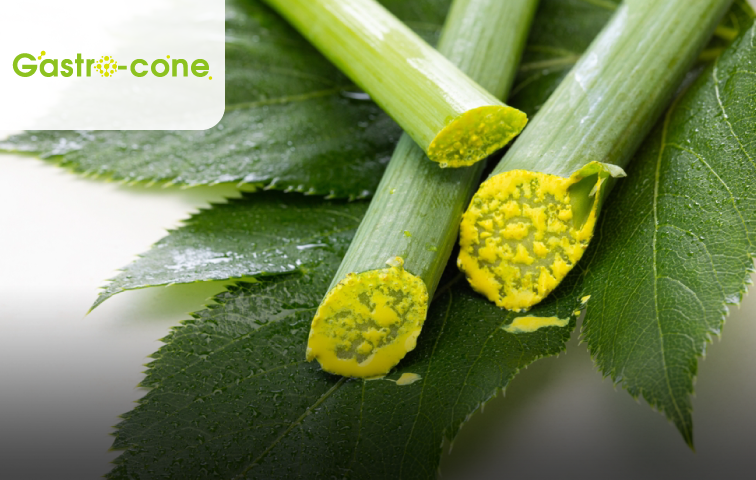 專利明日葉萃取物 衛護康 Gastro-cone