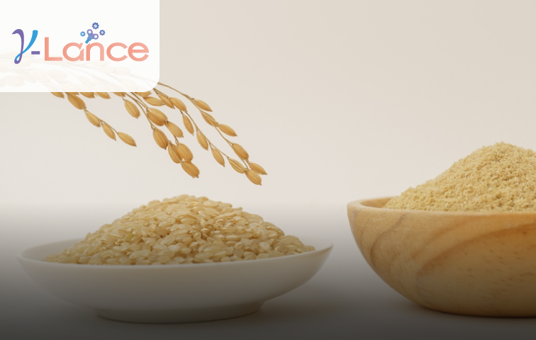 專利γ-穀維素 γ-Lance