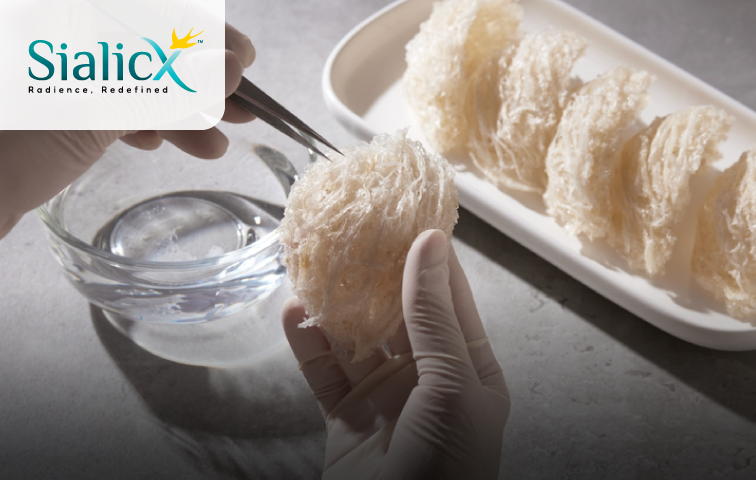 燕窩萃取物 SialicX