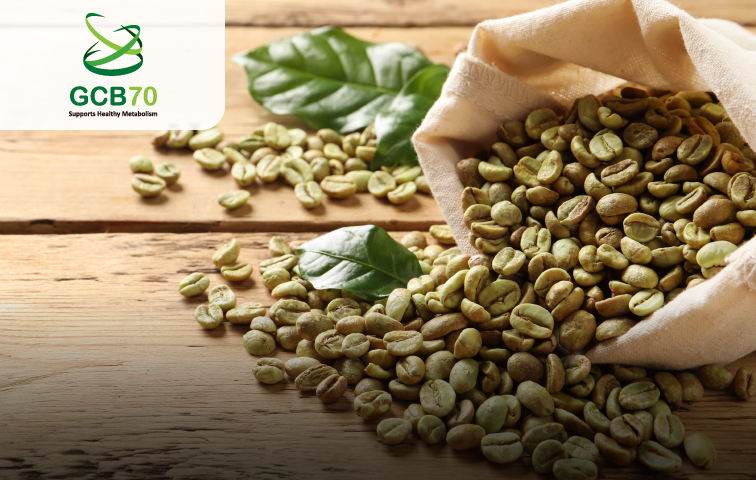 專利綠咖啡萃取物  GCB70
