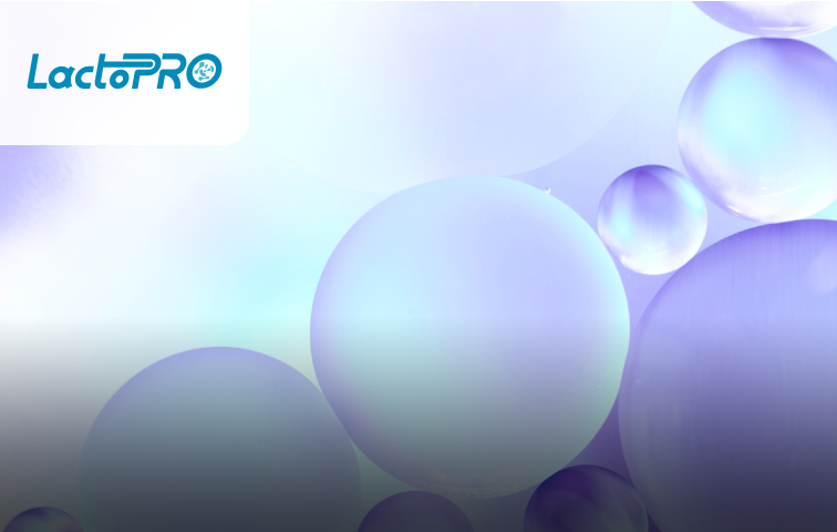 專利乳酸菌 PRO11 LactoPRO