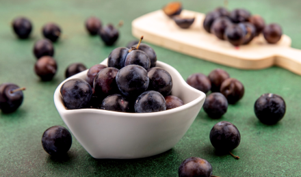 稀有又神秘：智利獨有生長環境孕育的智利酒果